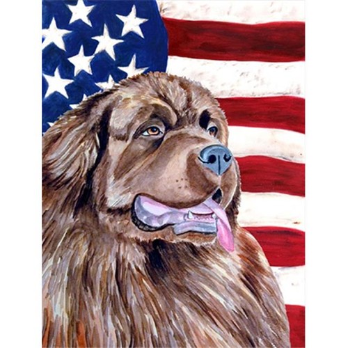 Carolines Treasures LH9024CHF 28 x 40 in. USA American Flag with Newfoundland House Size Canvas Flag