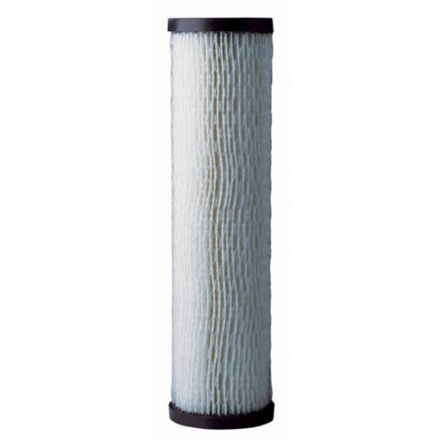 Pentair 2 Count Pleated Paper Whole House Replacement Cartridge RS1-DS12-05