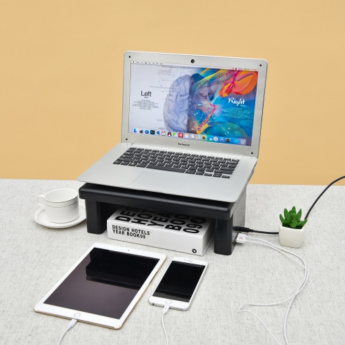 DAC Ergonomics Height Adjustable Desktop Computer Monitor Stand, Monitor Riser, Laptop Riser with 2 USB Charging Ports, Medium Size, Black