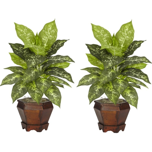 NEARLY NATURAL  Dieffenbachia With Wood Vase Silk Plant (Set Of 2) In Green/brown