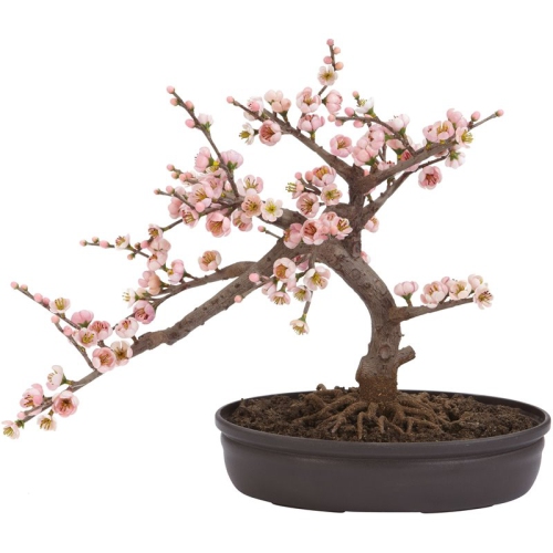 NEARLY NATURAL  15" Cherry Blossom Bonsai Silk Tree In Pink/black