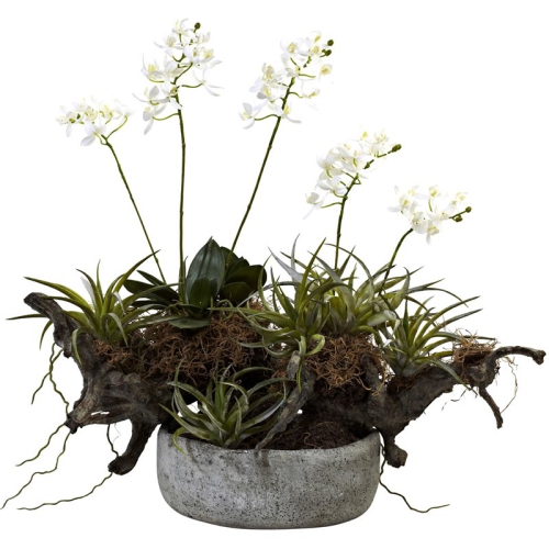 NEARLY NATURAL  Orchid & Succulent Garden W/driftwood & Decorative Vase
