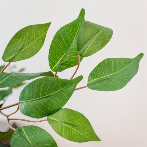 7' Ficus Silk Tree Green