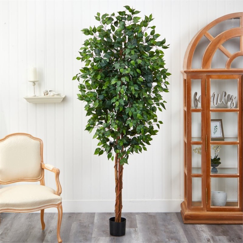 7' Ficus Silk Tree Green