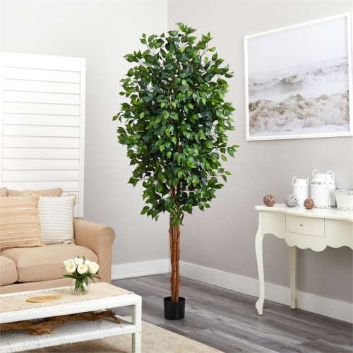 7' Ficus Silk Tree Green