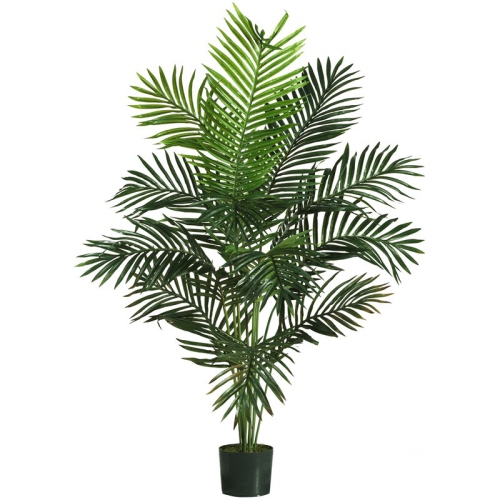 NEARLY NATURAL  60" Paradise Palm With Lush Feathery Pinnate Leaves - Green/black