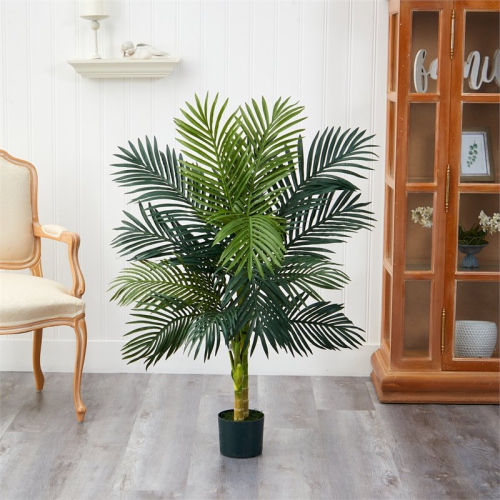 4' Golden Cane Palm Tree