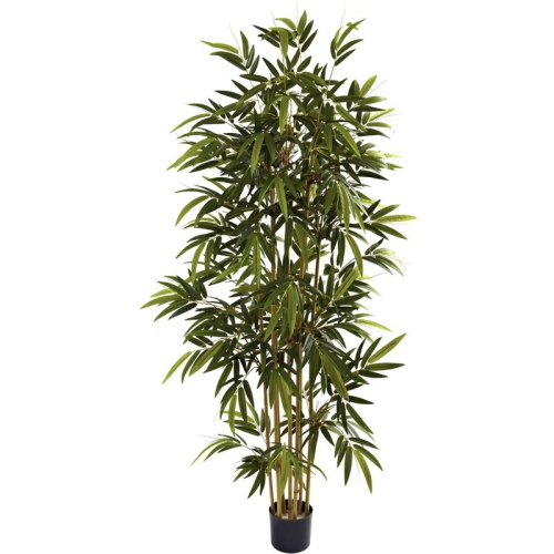 6' Bamboo Tree