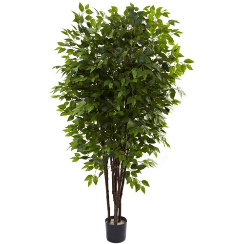 6.5' Deluxe Ficus Tree