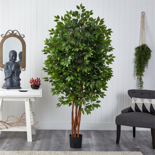 6.5' Deluxe Ficus Tree