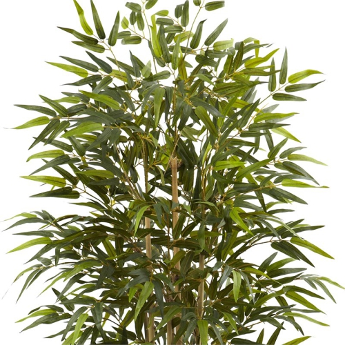6' Bamboo Tree w/Decorative Planter