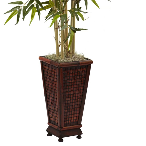 6' Bamboo Tree w/Decorative Planter