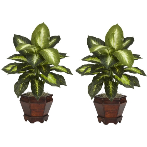 NEARLY NATURAL  Dieffenbachia With Wood Vase Silk Plant (Set Of 2) In Green/brown