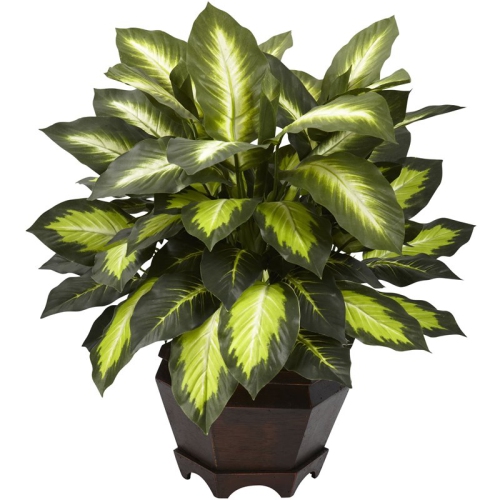 NEARLY NATURAL  Triple Golden Dieffenbachia W/wood Vase