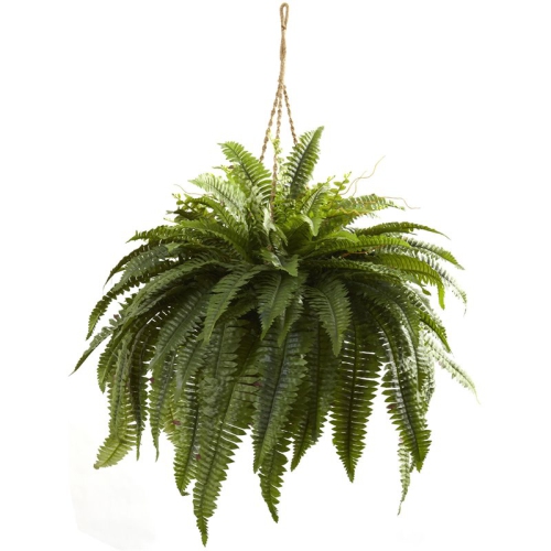 NEARLY NATURAL  Double Giant Boston Fern Hanging Basket