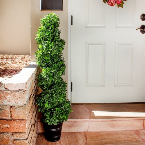 Boxwood Spiral Topiary with Planter - Indoor/Outdoor