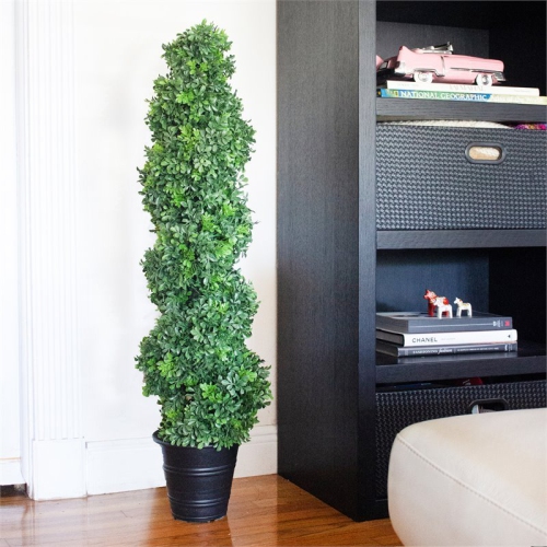 Boxwood Spiral Topiary with Planter - Indoor/Outdoor