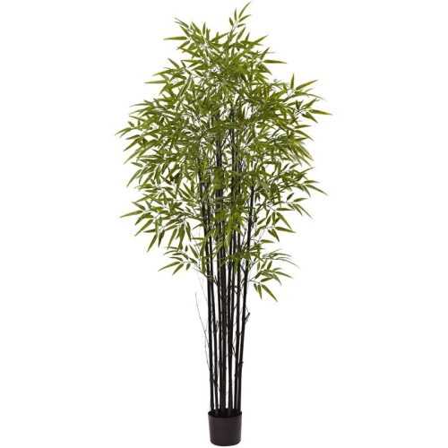 NEARLY NATURAL  6' Bamboo Tree Uv Resistant - Indoor/outdoor In Black