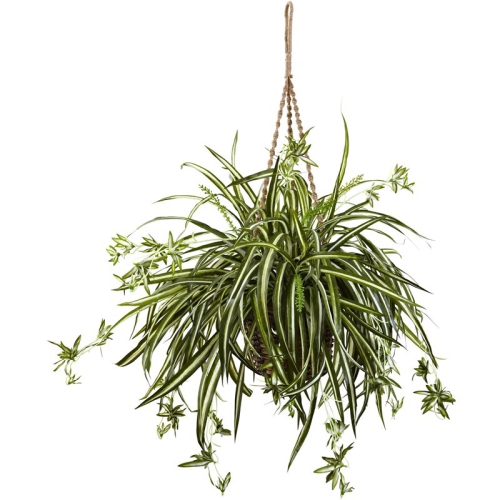 NEARLY NATURAL  Spider Plant Hanging Basket