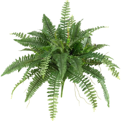 NEARLY NATURAL  40" Boston Fern - Set Of 2