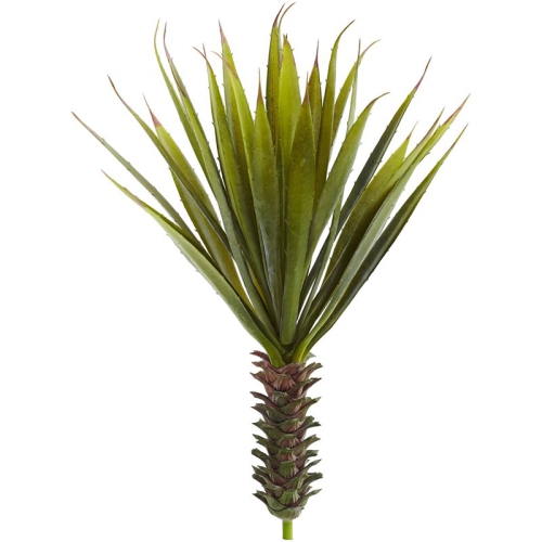 Spiky Agave Succulent Plant - Set of 2