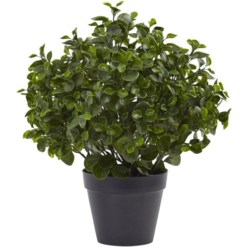 NEARLY NATURAL  Indoor/outdoor 23" Peperomia Plant Uv Resistant In Green/black