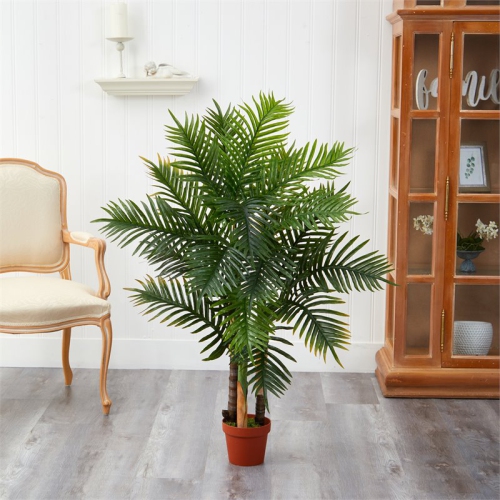 4' Areca Palm Tree