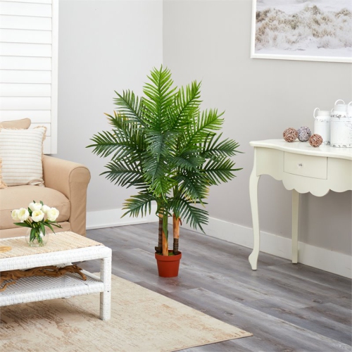 4' Areca Palm Tree