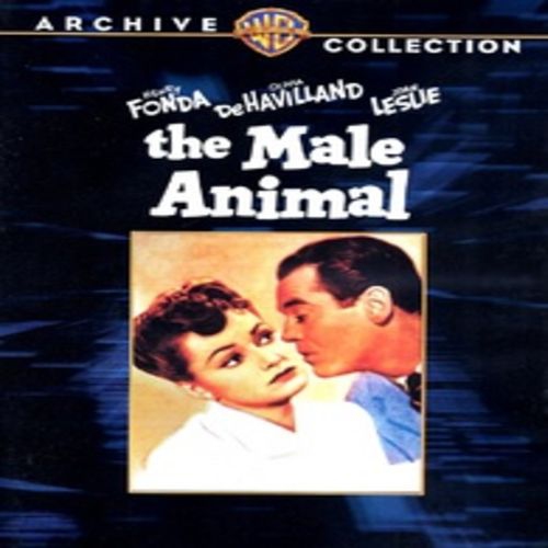 WARNER  The Male Animal - (Black & White, Widescreen, Mono Sound) - [DVD]