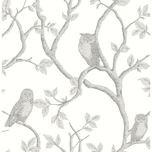 Papier peint Essentials Enchanted Forest Owl & Tree de Brewster - Gris