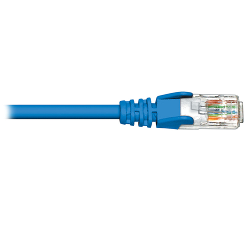Câble de raccordement Cat5e - BL, bleu 100&nbsp;pi