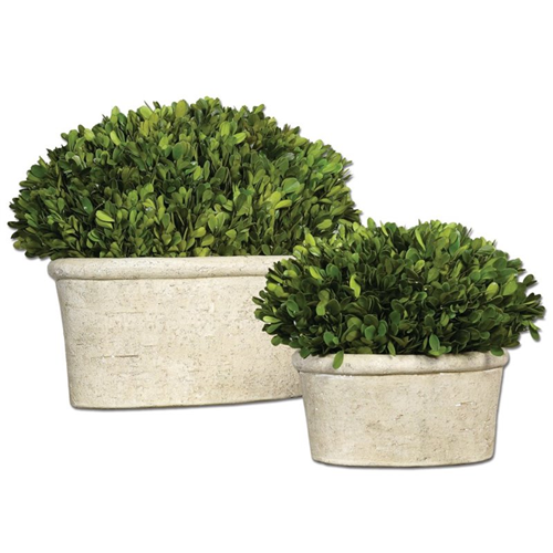 Image 1 de 1.. Ensemble dôme ovale de 2 pièces en bois de buis le plus préservé d'UtterMost, Mossy Stone