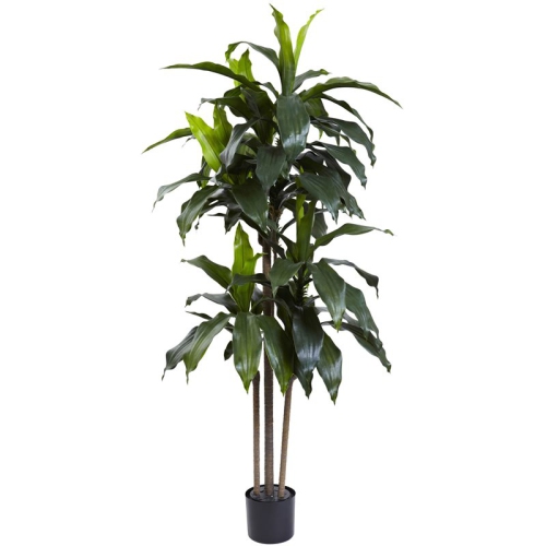 NEARLY NATURAL  Indoor/outdoor 60" Dracaena Plant Uv Resistant In Green/black