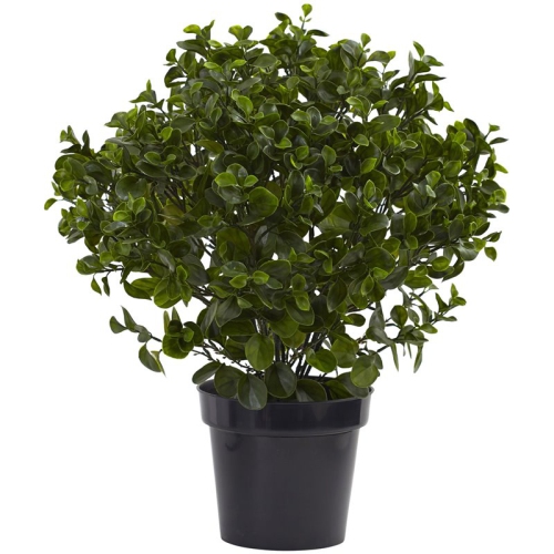 NEARLY NATURAL  Indoor/outdoor 28" Peperomia Plant Uv Resistant In Green/black