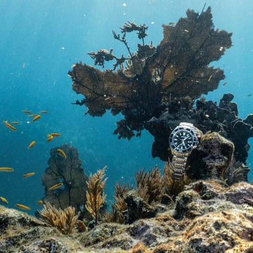 Citizen Mens Promaster Dive Eco-Drive Watch 45mm Silver-Tone Stainless Steel Case and Bracelet with Blue Dial