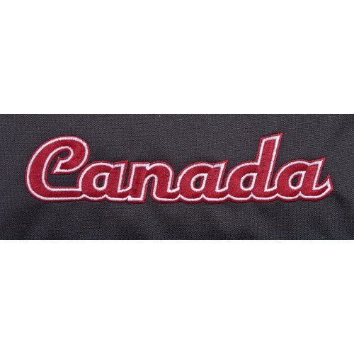 Canada Lightweight Travel Gear Laptop Travel Daypack Backpack