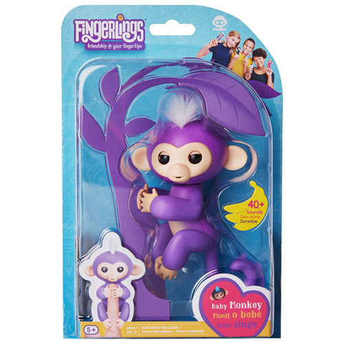 fingerling monkey