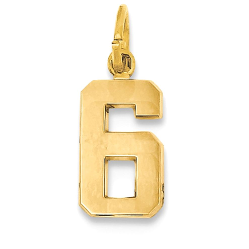 IceCarats 14k Yellow Gold Casted Small Number 6 Pendant Charm Necklace Sport