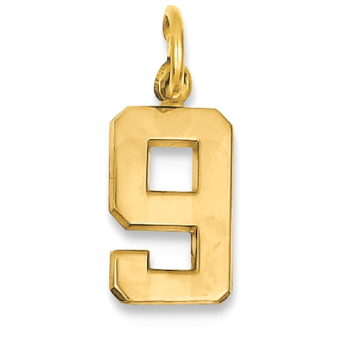 IceCarats 14k Yellow Gold Casted Small Number 9 Pendant Charm Necklace Sport