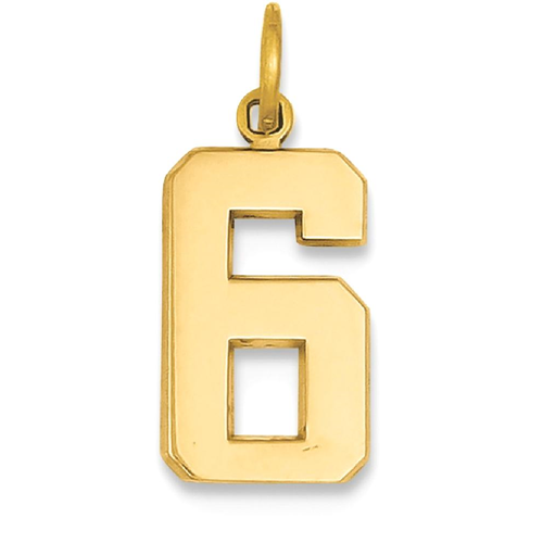 number 6 pendant