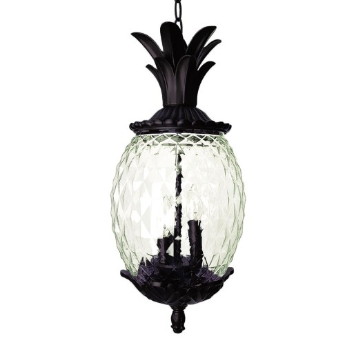 ACCLAIM LIGHTING  Lanai Collection Hanging Lantern 3-Light Outdoor Coral Light Fixture In Black