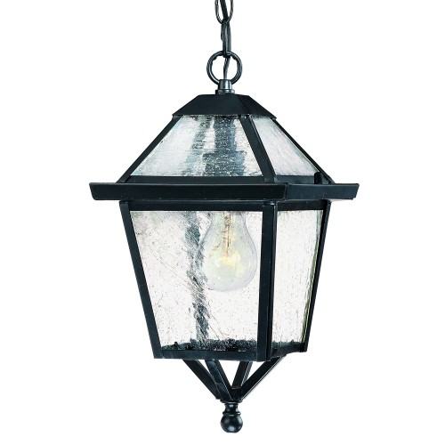 ACCLAIM LIGHTING  Bay Street Collection Hanging Lantern 1-Light Outdoor Matte Light Fixture In Black