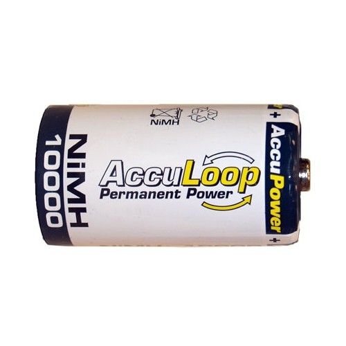 12-Pack D NiMH AccuPower AccuLoop Batteries