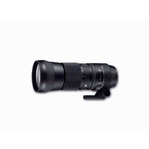 Sigma 150-600mm f5-6.3 DG OS HSM Contemporary Lens Canon