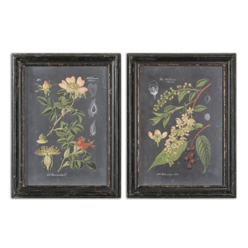 UTTERMOST  Midnight Botanicals 2 Piece Wall Art Set