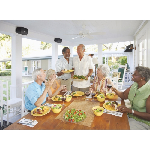 Yamaha NS-AW194 Outdoor Speakers