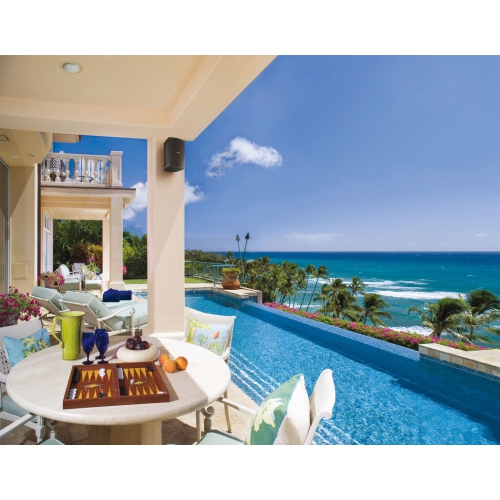 Haut-parleurs d’extérieur Yamaha NS-AW294