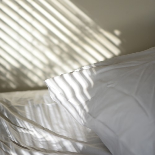 Organic Bamboo Pillow Cases by SHOO-FOO - 100% Bamboo - Collection Naturelle - 300 TC