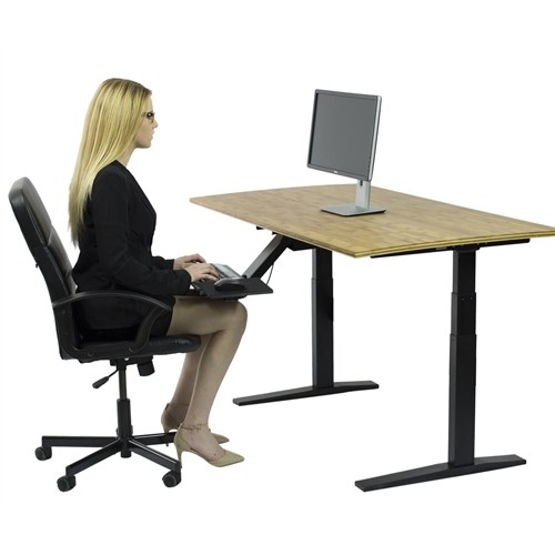Uncaged Ergonomics Rise Up Electric Height Adjustable Sit/Stand Desk, With Real Bamboo Desktop, Memory, Dual Motors (Ba