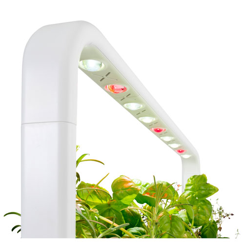 Click & Grow Smart Garden 9 - White